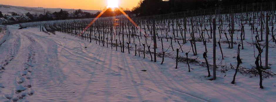 22.02.2026: FWG Winterwanderung