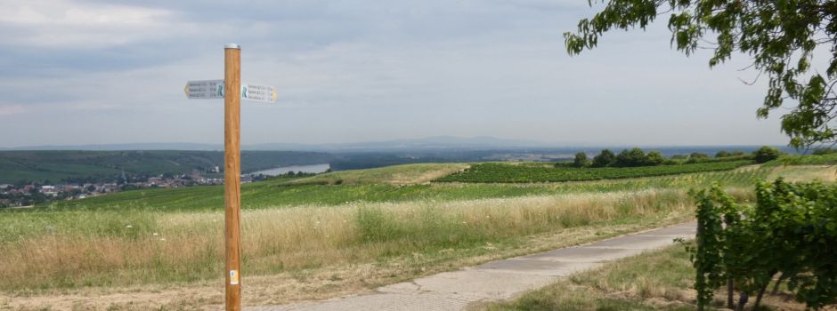 Wegepaten für den RheinTerrassenWeg gesucht
