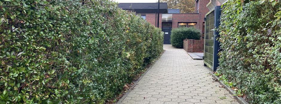 Hecken, Bäume und Sträucher zurückschneiden