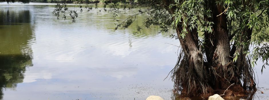 Entdecke die Stauseewanderung in Brohm