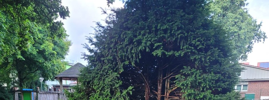 🚨 Zeugenaufruf – Mutwillige Sachbeschädigung im Bürgerpark Emstek 🌳