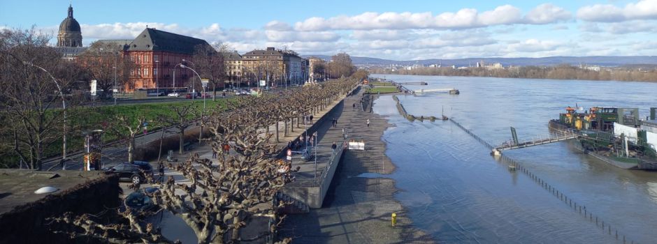 Bildergalerie: So sieht das Rheinufer bei Hochwasser aus