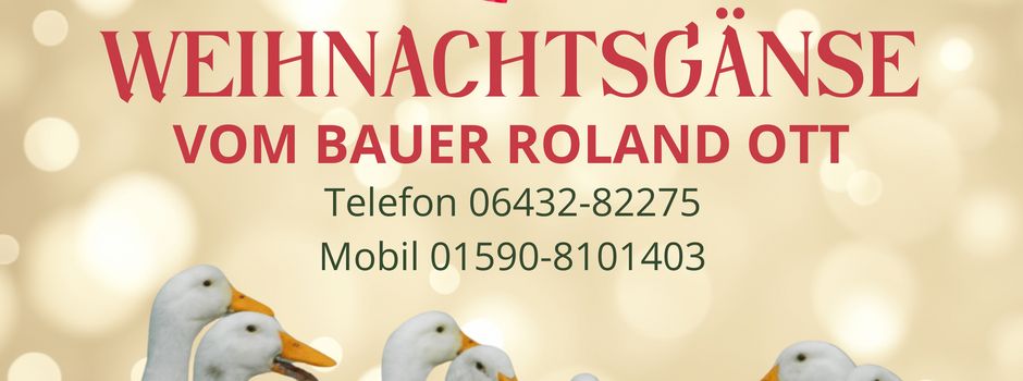 Weihnachtsgänse bei Roland