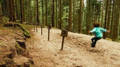 Dorf- und Heimatverein realisiert zwei neue Projekte auf dem Entdeckerpfad