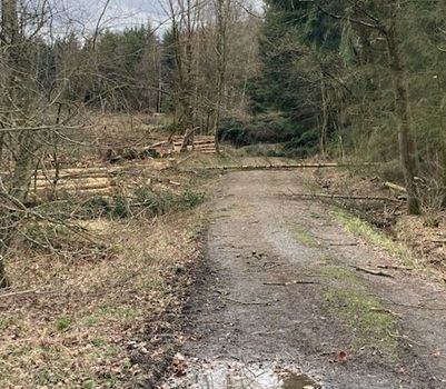 Stürmisches Wochenende