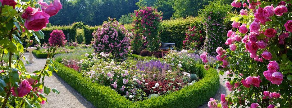 Haus Meinberg: Senioren besuchen den „Garten der Sinne“