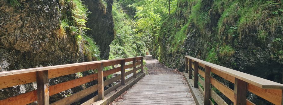 Öffnung des Waldbahnweges