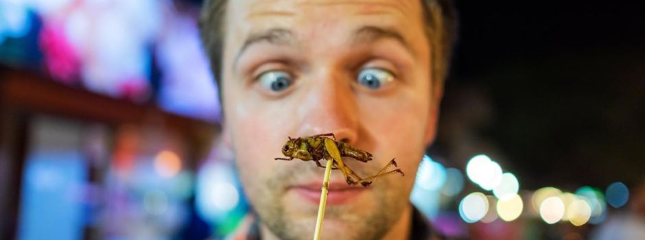 In welchen beliebten Produkten schon Insekten enthalten sind