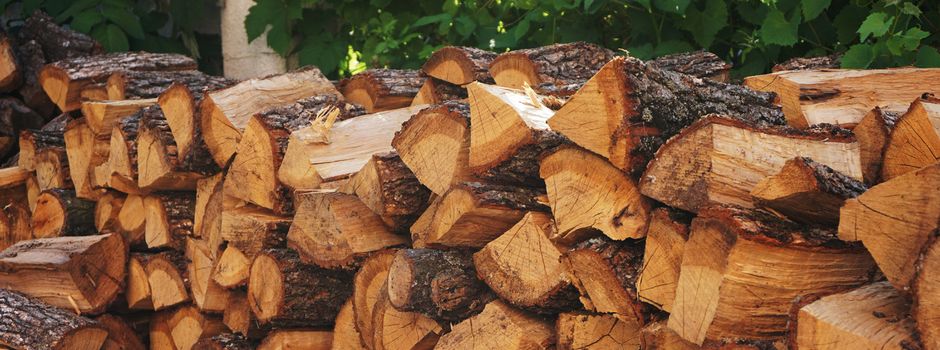 Mehr Holzdiebstähle im rheinhessischen Wald
