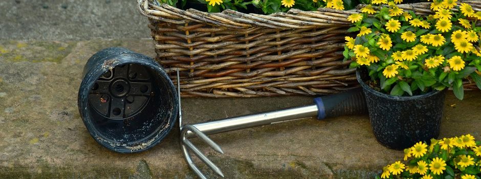 Der Obst- u. Gartenbauverein lädt alle Kinder ein, am Samstag, den 6.6. um 10 Uhr das Blumenbeet in der Ortsmitte zu bepflanzen