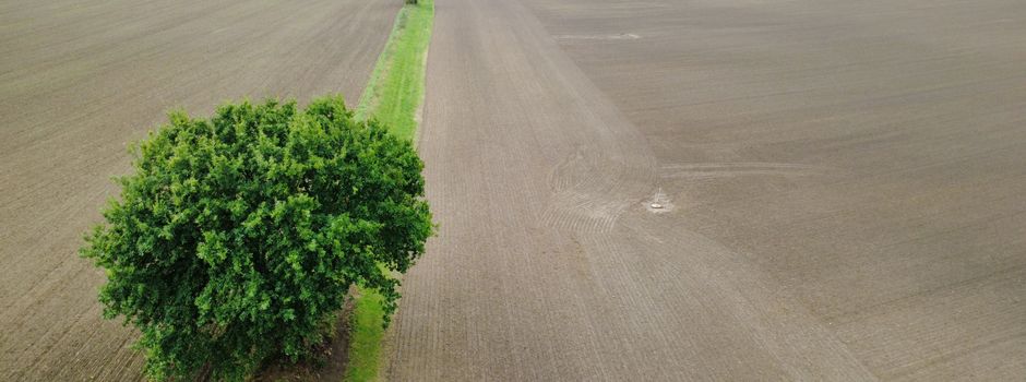 Einweihung des sanierten Kirchsteigs