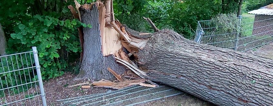 Mehr als 160 Feuerwehreinsätze nach kurzem, aber kräftigem Unwetter