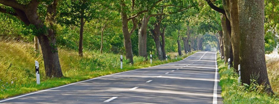 Straßenverkehrszählung 2025