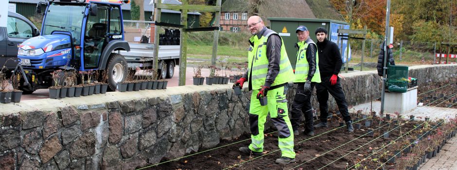 Pflanzaktion in der ehemaligen Parkbucht