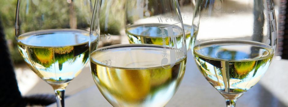 Erstes Bio-Weinfest startet in Mainzer Altstadt