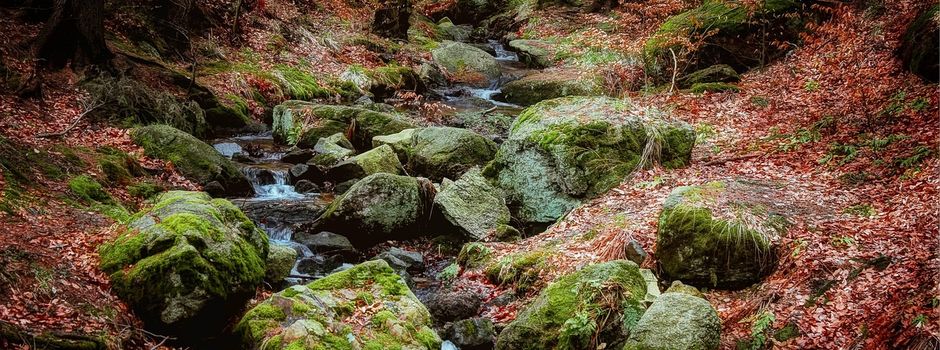 Kreisverwaltung bittet um Verzicht auf Wasserentnahmen
