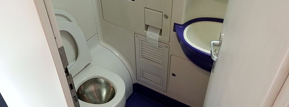 Mann mit Einreiseverbot sperrt sich in Zugtoilette ein: Festnahme in Mainz