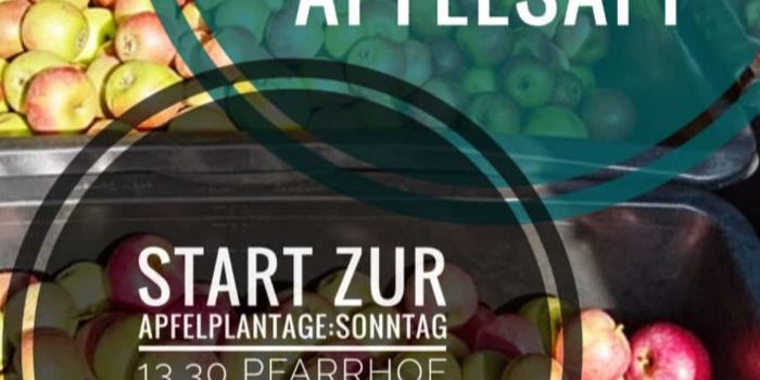 Apfelernte am Medeweger See - 28.09.2025