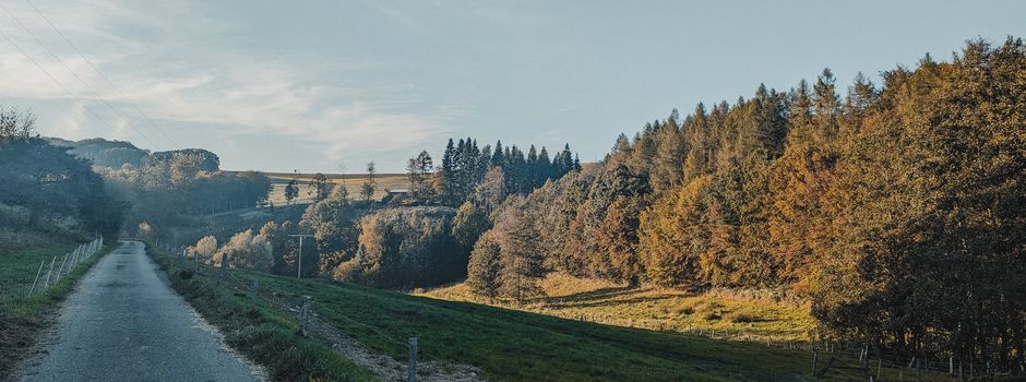 Bestellung von Brennholz