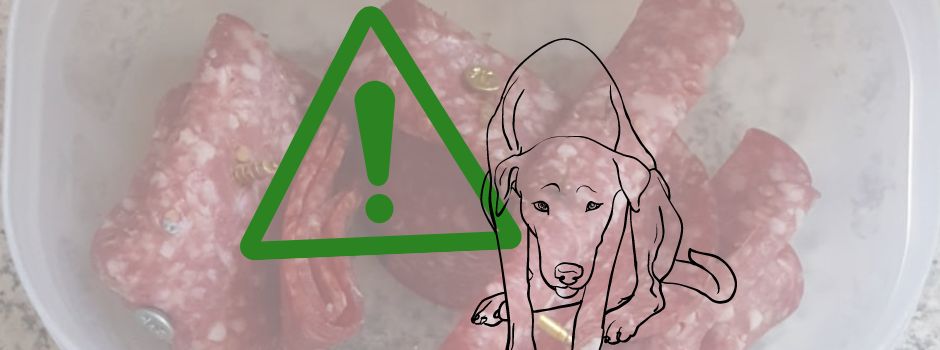 Mit Schrauben bestückte Salami-Köder für Hunde in Möhler