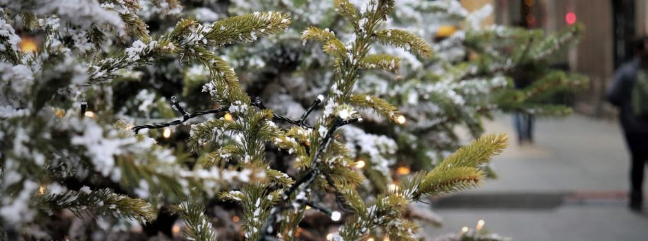Hier könnt ihr in Wiesbaden selbst Weihnachtsbäume schlagen