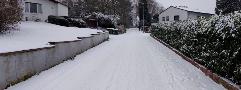 Schneechaos in Mainz: Kamen die Räumdienste an ihre Grenzen?