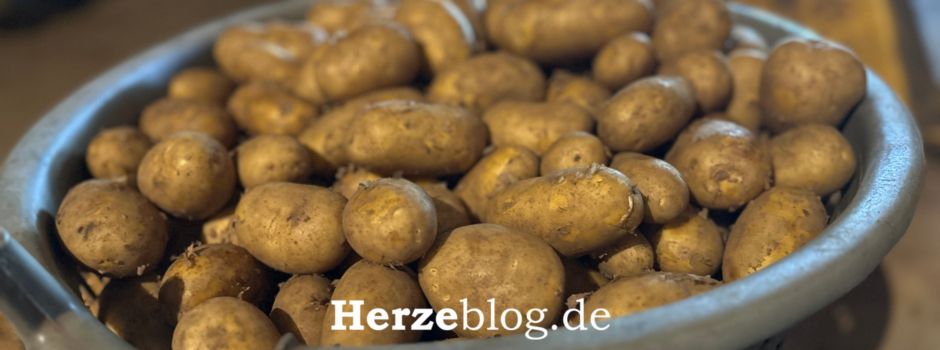 Höhere Kartoffelpreise auch bei uns in der Region, durch Krautfäule und andere Faktoren