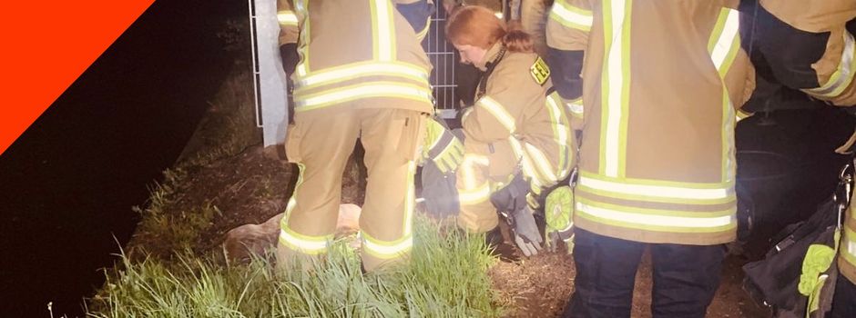 Einsatz 02.05.2025 21:51 Uhr - T-TRett W1 Tierrettung Gewässer