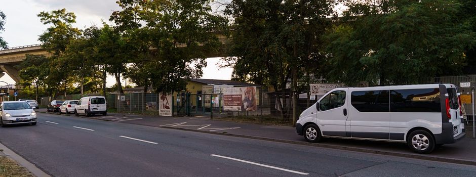 Stadt Mainz und Tierheim beraten über Zukunft