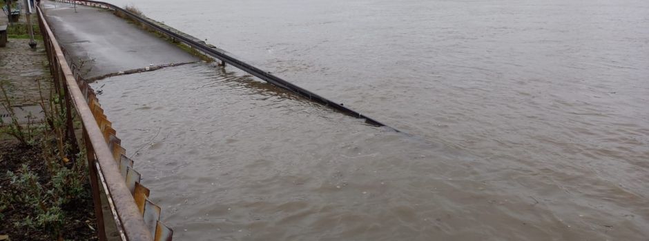 Pegel steigen: Mainz droht Hochwasser