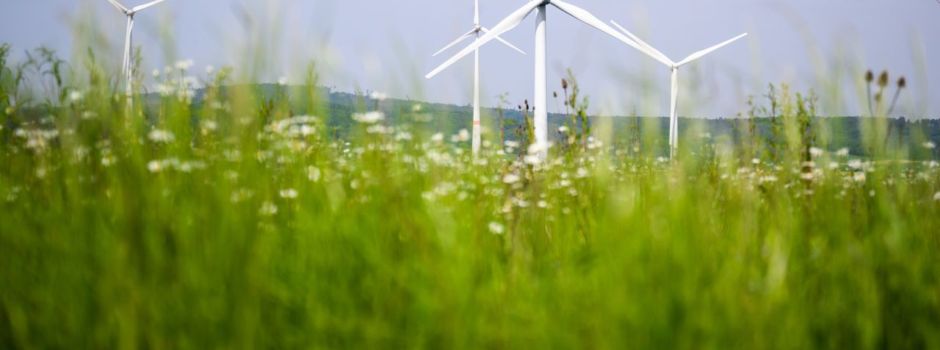 Was beim Klimaschutz funktioniert - und wer davon profitiert