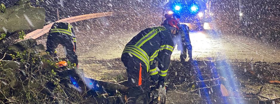 Nach Sturm in Wiesbaden: Schwere Schäden
