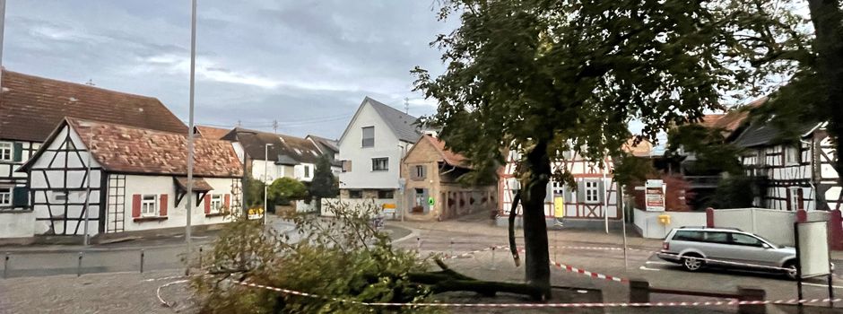 Sturm zerstört Linde am Kirchplatz