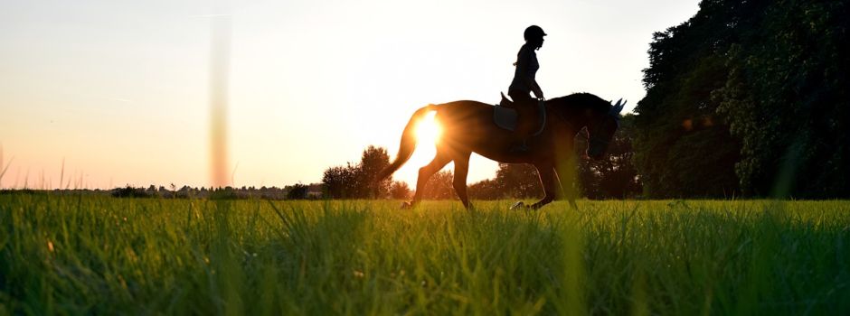 Ferienreitkurs beim Reit-und Fahrverein PS-Winzeln e.V.