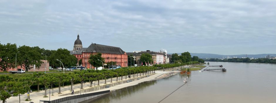 Hochwasser in Mainz: So ist die aktuelle Lage