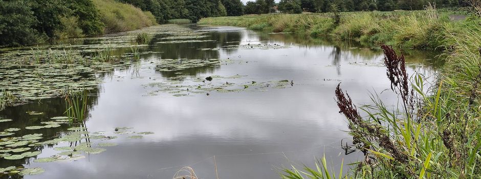 Der Herbst naht - Beobachtungen an der Horsterbeek und der Oste