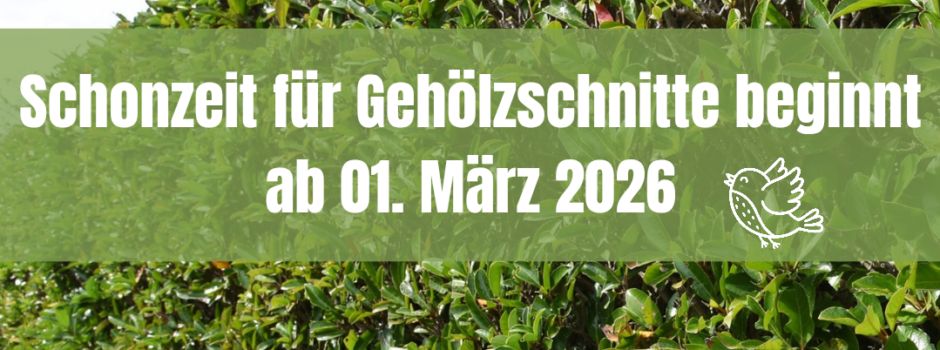 Schonzeit für Gehölzschnitte ab 01. März 2026