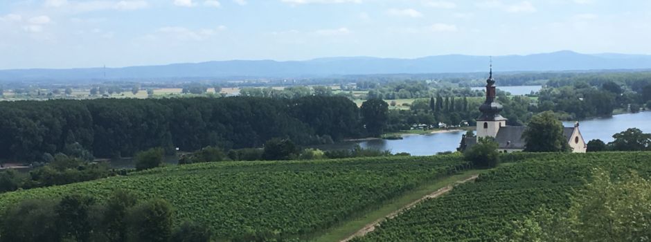 Veranstaltungen der Kultur- und Weinbotschafterin Barbara Reif in Nierstein