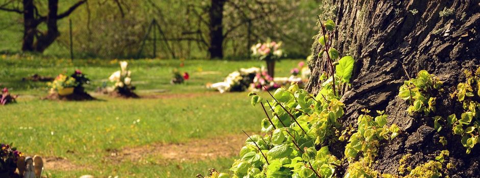 Achtung: "Mäh-Saison" startet!