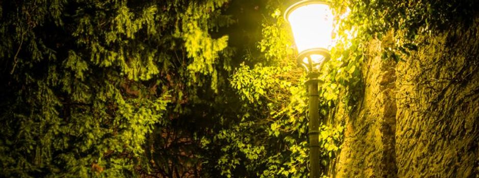 Crash in Mainz: Autofahrer rammt Laterne und haut ab