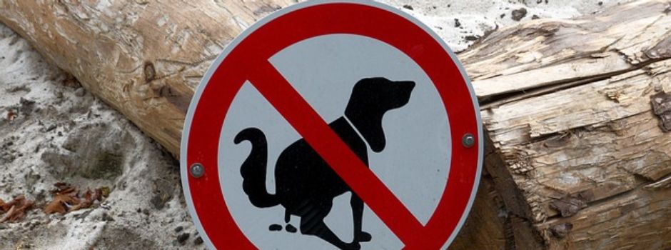 bitte in den Mülleimer!