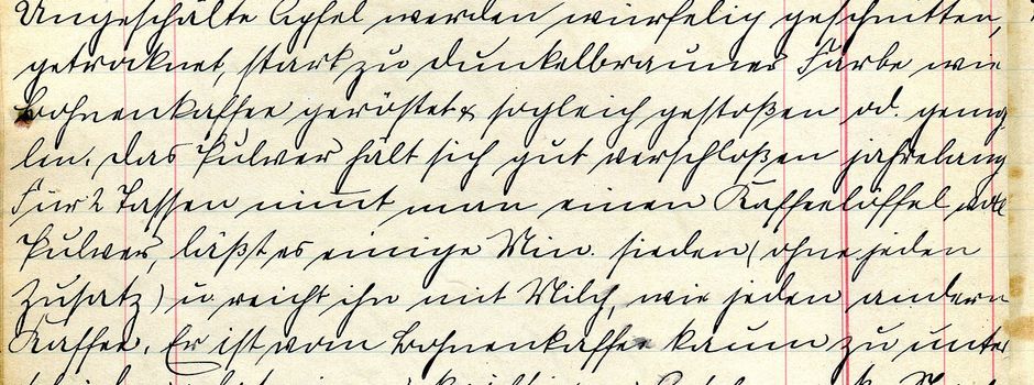 AUSGEBUCHT! Sütterlin für Anfänger