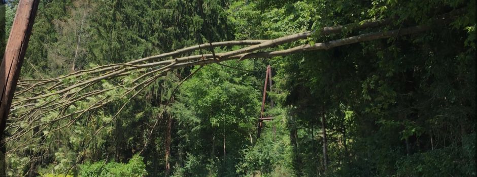 Stromausfall der letzten Tage