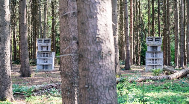 Bemooste „Lautsprechertürme“ im Wald