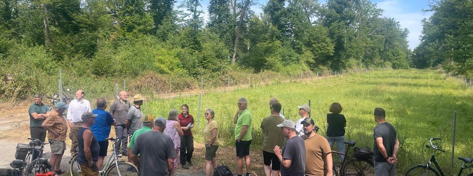 Haupt- und Finanzausschuss tagte im Wald – Bürgerdialog mit Forstexperten