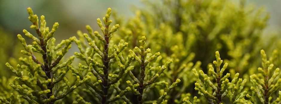 Herbstliche Aktionen und spannende Einblicke beim OGV Neuberg
