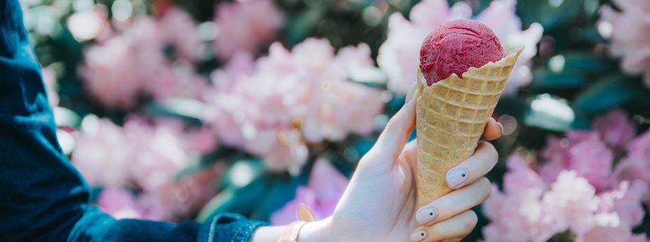 Ein Sommertag in Augsburg - Unsere Impressionen