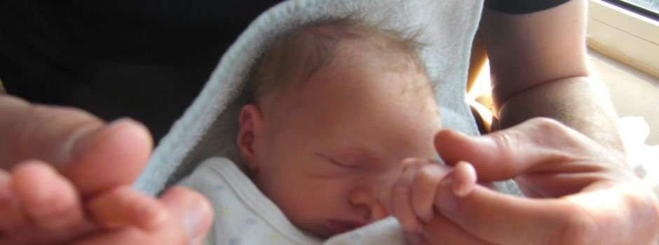 2024 mehr Kinder im Rhein-Sieg-Kreis zur Adoption freigegeben – Fachstelle begleitet Eltern und Familien