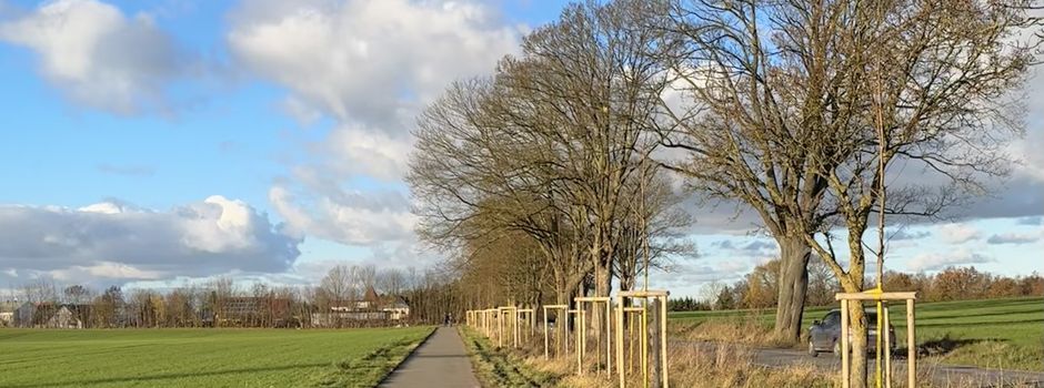 Neue Bäume für Lübow: Grüner Radweg in Sicht