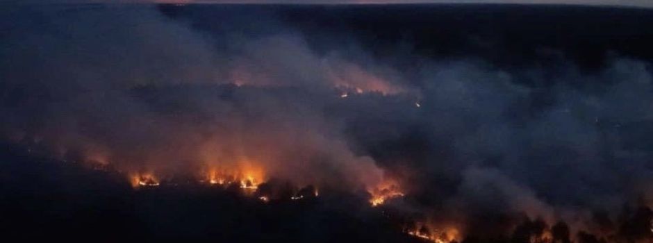 Waldbrand im Müritz-Nationalpark: Feuerwehr Grünow im Einsatz